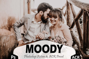 Download Moody Photoshop Actions and ACR Presets - Presets Collection