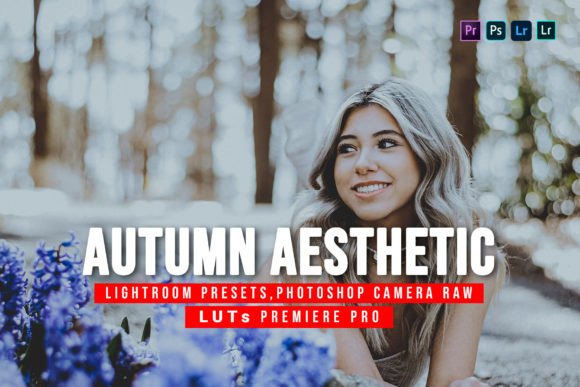 Download 10 Autumn Aesthetic Presets and Luts - Presets Collection