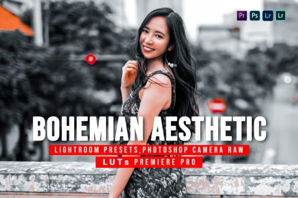 Download 10 Bohemian Aesthetic Presets and Luts - Presets Collection