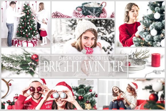 Download 12 Bright Winter Lightroom Preset - Premium Bundle