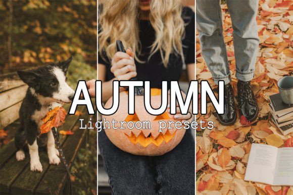 Download 9 Warm Tone Fall Lightroom Presets - Presets Collection