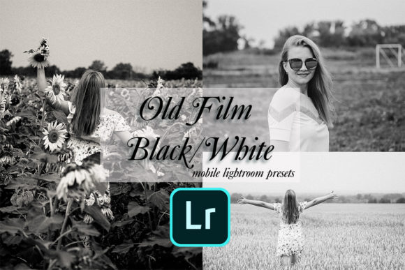 Download 10 Old Film BlackWhite Lightroom Presets - Presets Collection