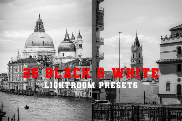 Download 25 Black &amp; White Lightroom Presets - Presets Collection
