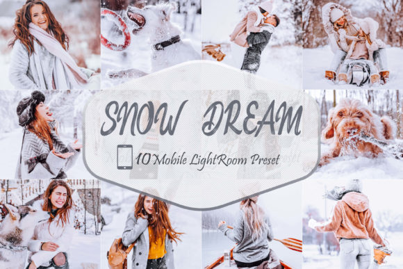 Download 10 Snowy Dream LR Mobile Presets - Presets Collection