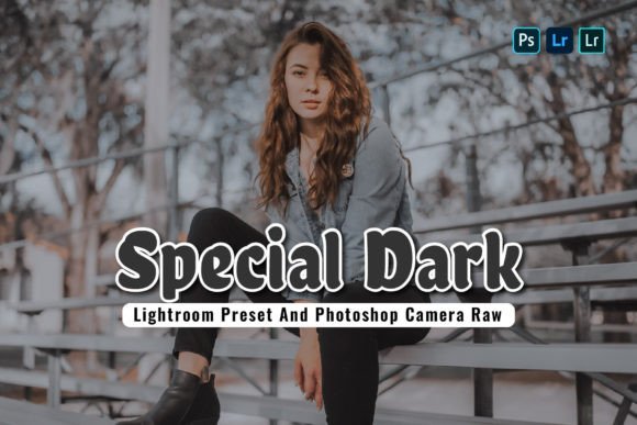 Download 15 Special Dark Lightroom Presets - Presets Collection