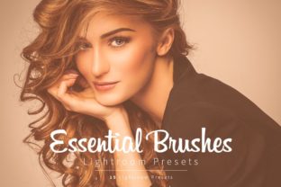 Download Essential Lightroom Brush Presets - Presets Collection