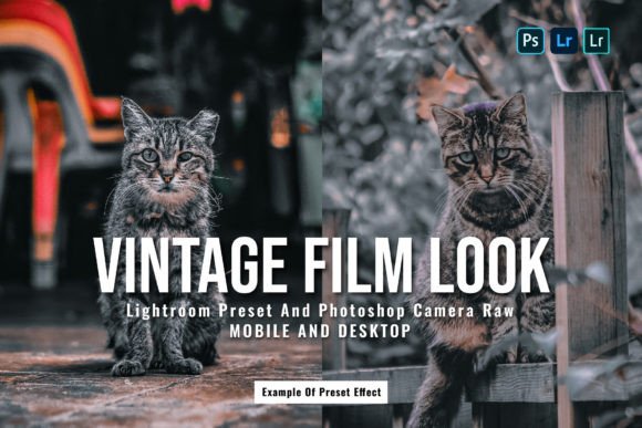 Download 15 Vintage Film Look Lightroom Presets - Presets Collection