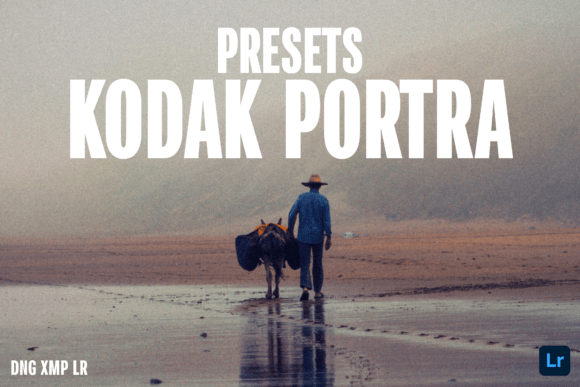 Download Kodak Portra Mobile Desktop Presets LR - Presets Collection