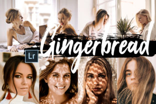 Download 5 Gingerbread Desktop Lightroom Presets - Presets Collection