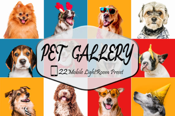 Download 22 Pet Gallery LR Mobile  Presets - Presets Collection